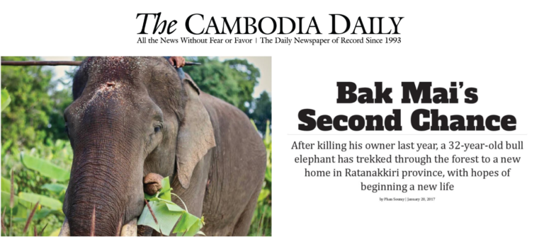 THE CAMBODIA DAILY – BAK MAI’S SECOND CHANCE